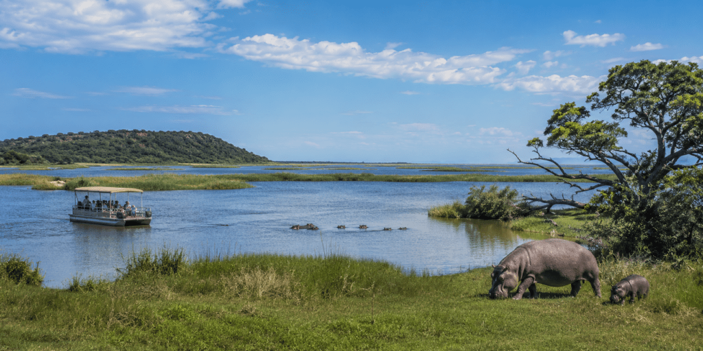 Hippos and a safari boat on Lake St Lucia in iSimangaliso Wetland Park, KwaZulu-Natal, South Africa